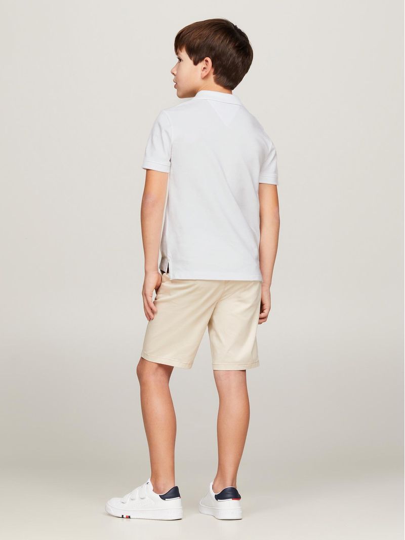 Polo-Logo-Flag-Essential
