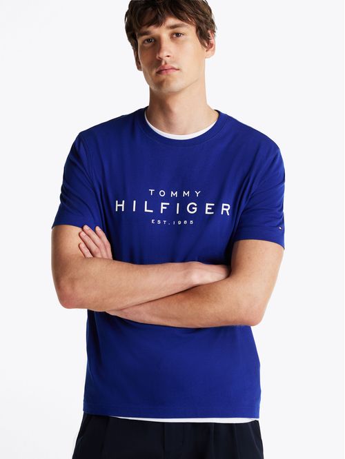 Polera Big Logo Regular Fit
