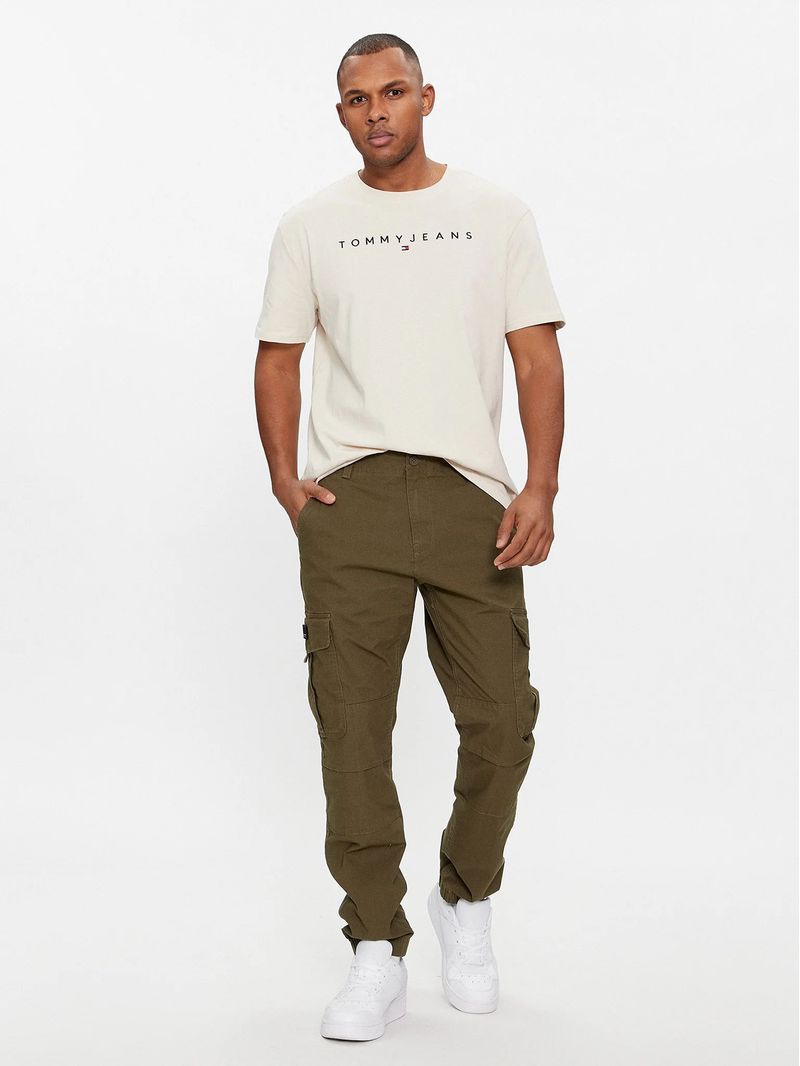 Polera-Regular-Linear-Logo