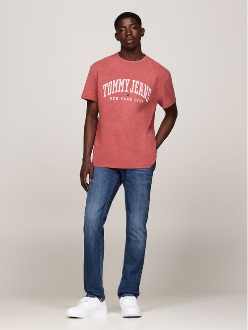 Polera Arc Varsity Logo Regular Fit