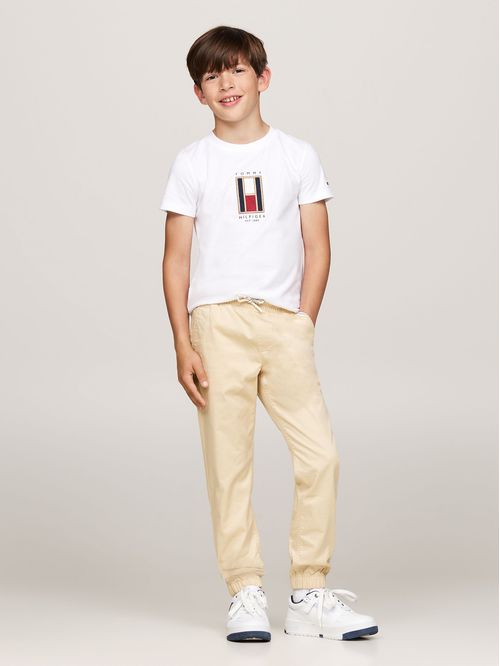 Polera Con Logo De Bandera Bordado