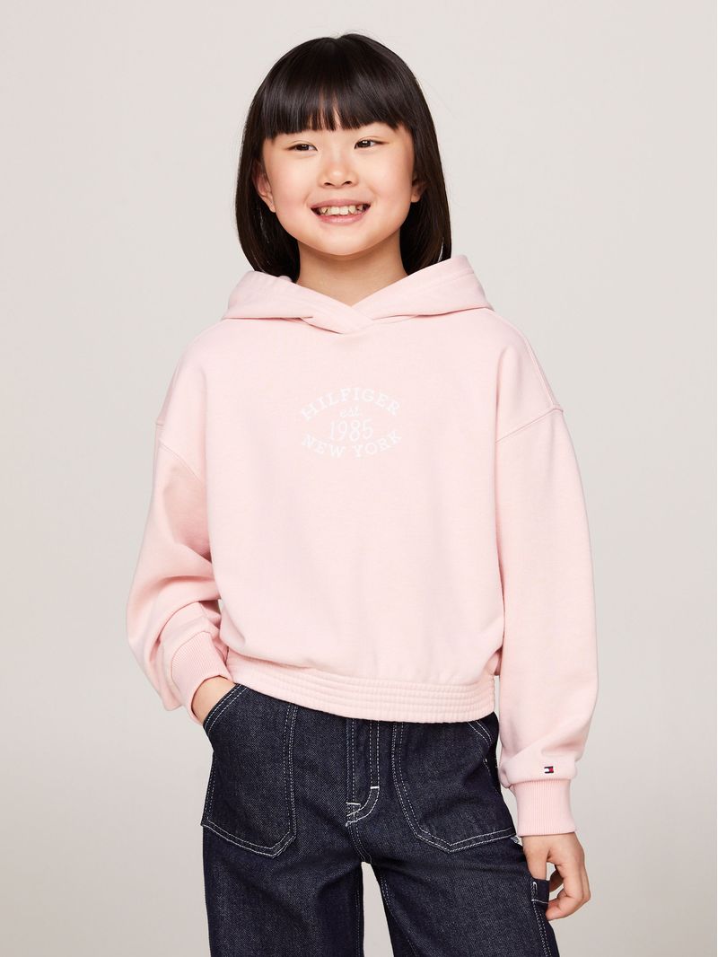 Poleron-Hoodie-Amplio-Con-Logo