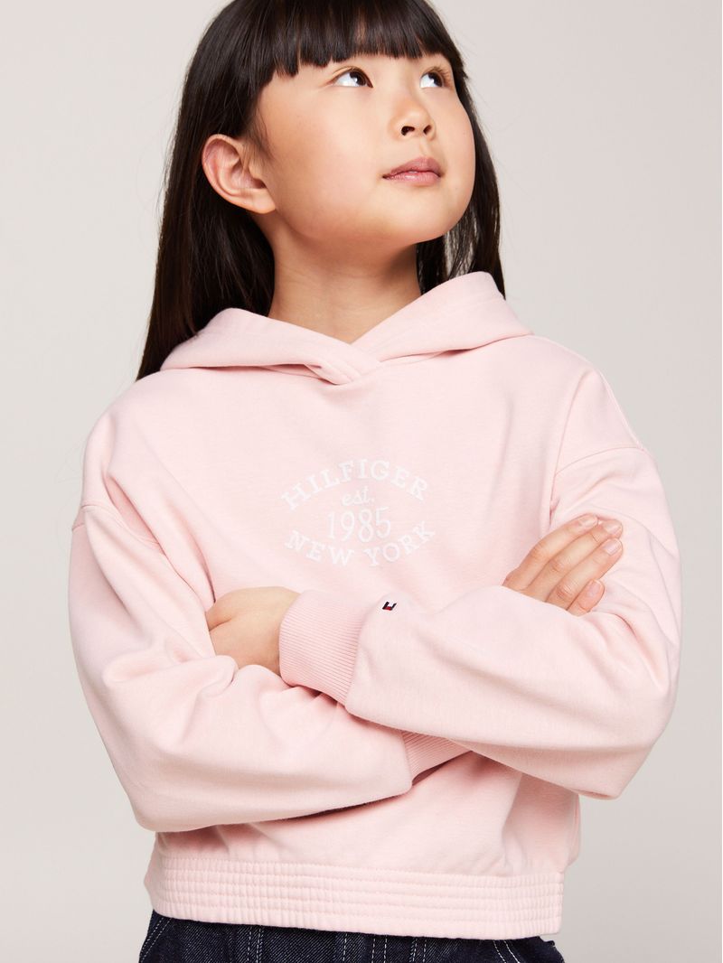 Poleron-Hoodie-Amplio-Con-Logo