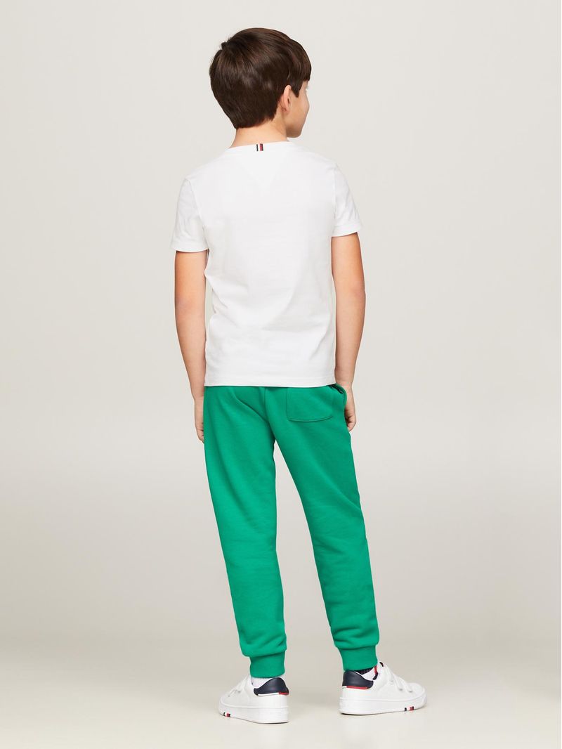 Polera-Logo-Monogram-Multicolor
