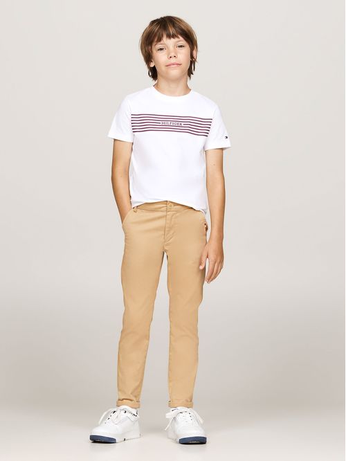 Polera Con Diseño De Rayas Monotype Print