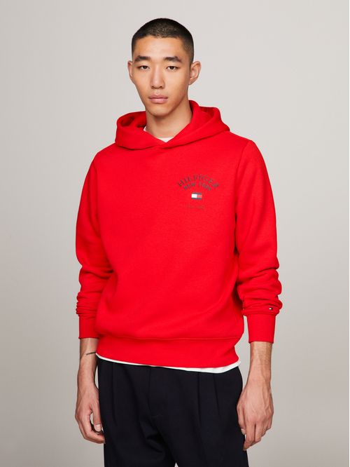 Polerón Hoodie Arched Varsity Logo
