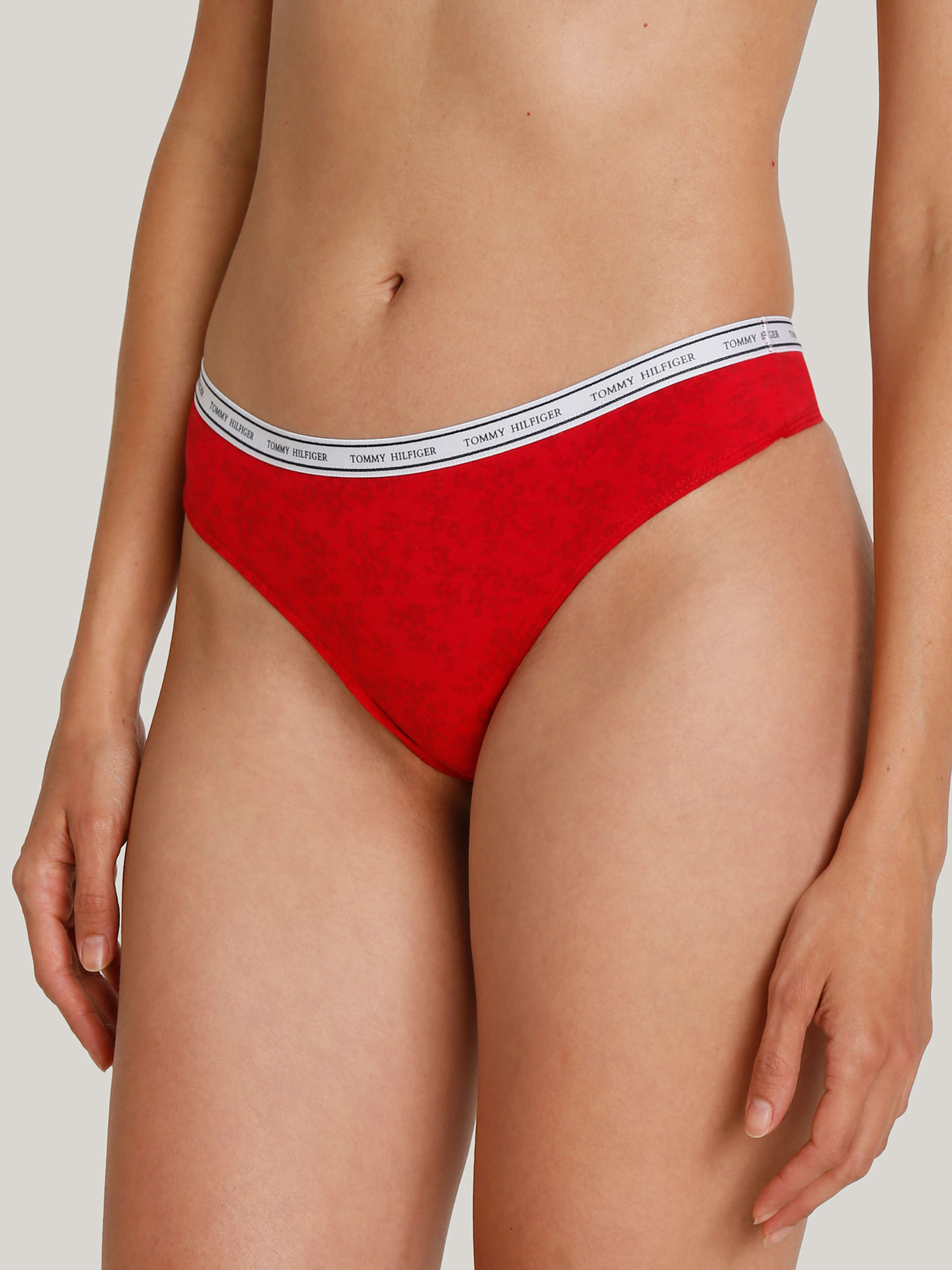 Calzones Ropa Interior Tommy Mujer Ropa Interior Para Mujer Tommy