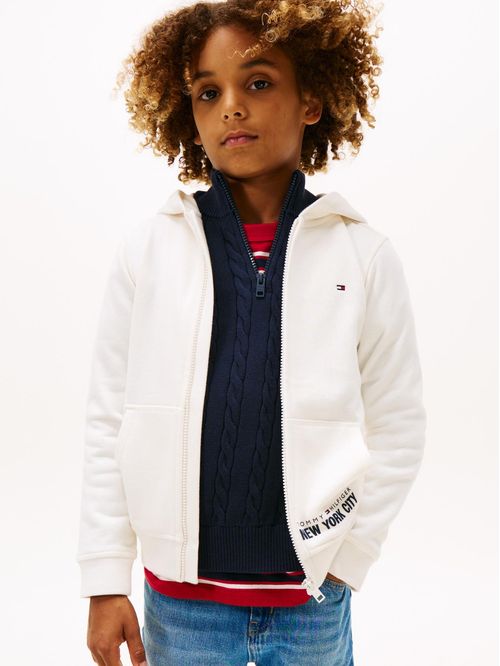 Polerón Hoodie Con Cierre