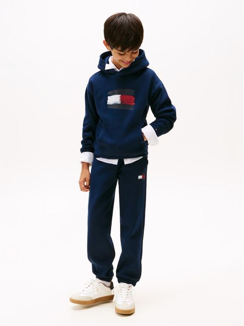 Polerón Hoodie Flag Logo