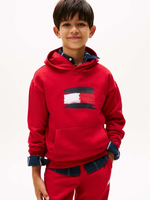 Polerón Hoodie Flag Logo