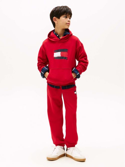 Polerón Hoodie Flag Logo