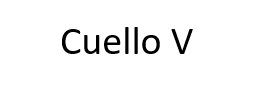 cuello v